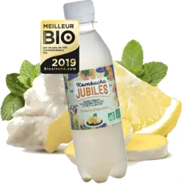 381-citron-gingembre-1.webp